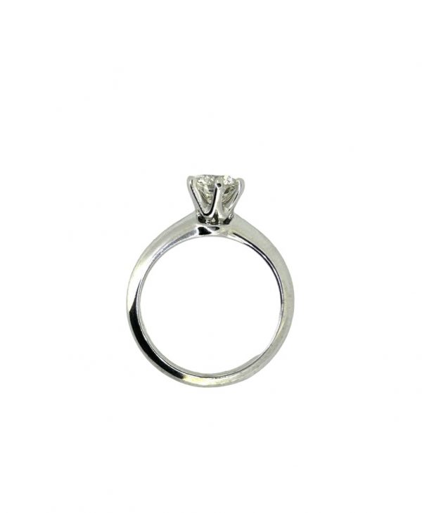 Photoroom_20240222_20353 PM